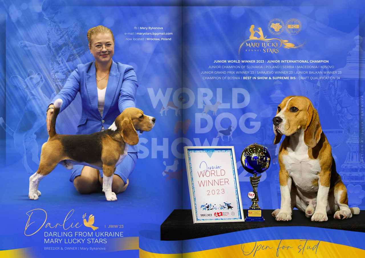 Mary Lucky Stars | Darling From Ukraine Mary Lucky Stars champion titles