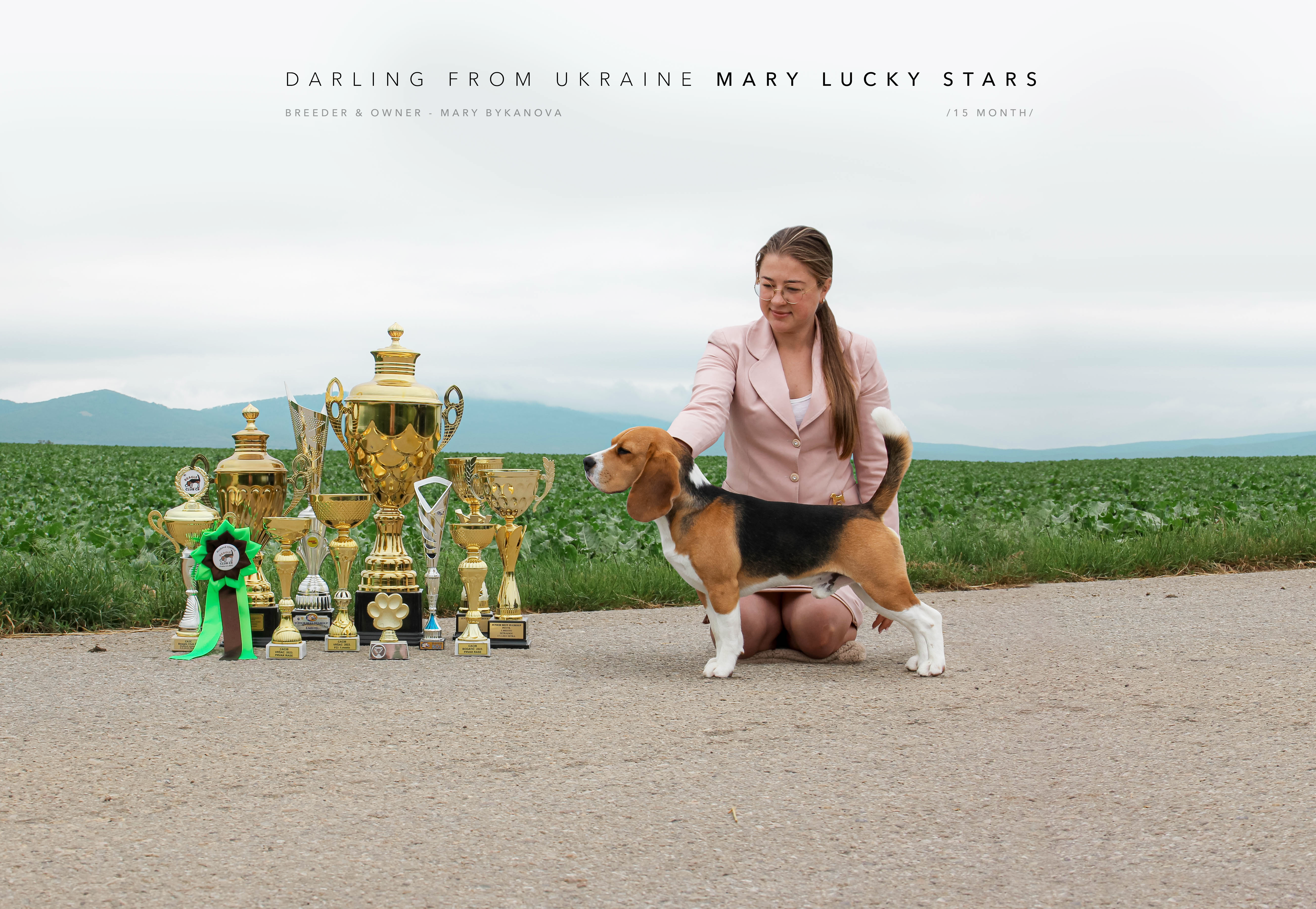 Mary Lucky Stars | Darling From Ukraine Mary Lucky Stars champion titles